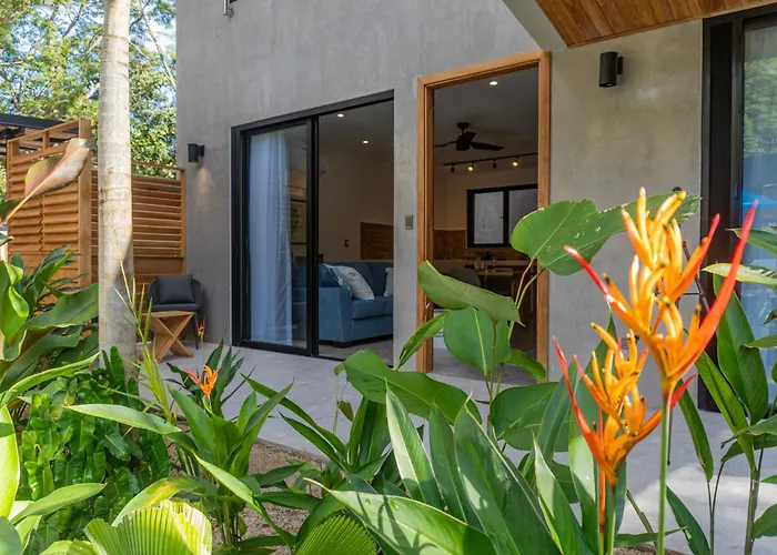 Nori - Boutique Jungle With Saltwater Pool, Apartment